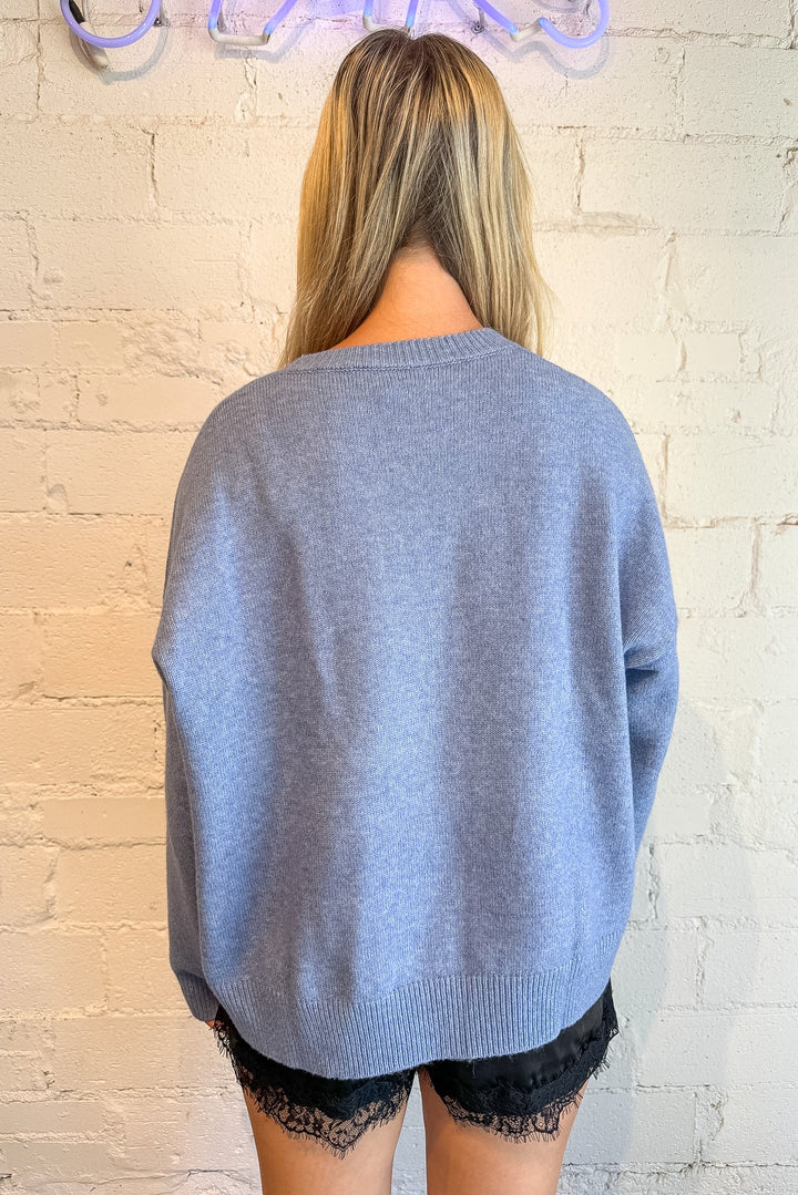 Blue Sweater with dog on it