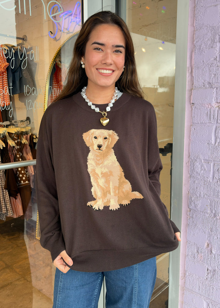 dog sweater, golden retriever sweater, brown sweater with dog, fall sweater 