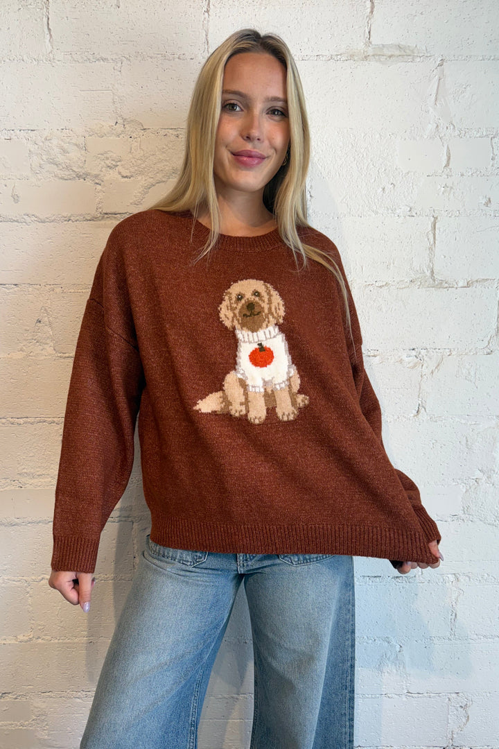 Dog sweater, dog with pumpkin sweater, sweater with dog on it 