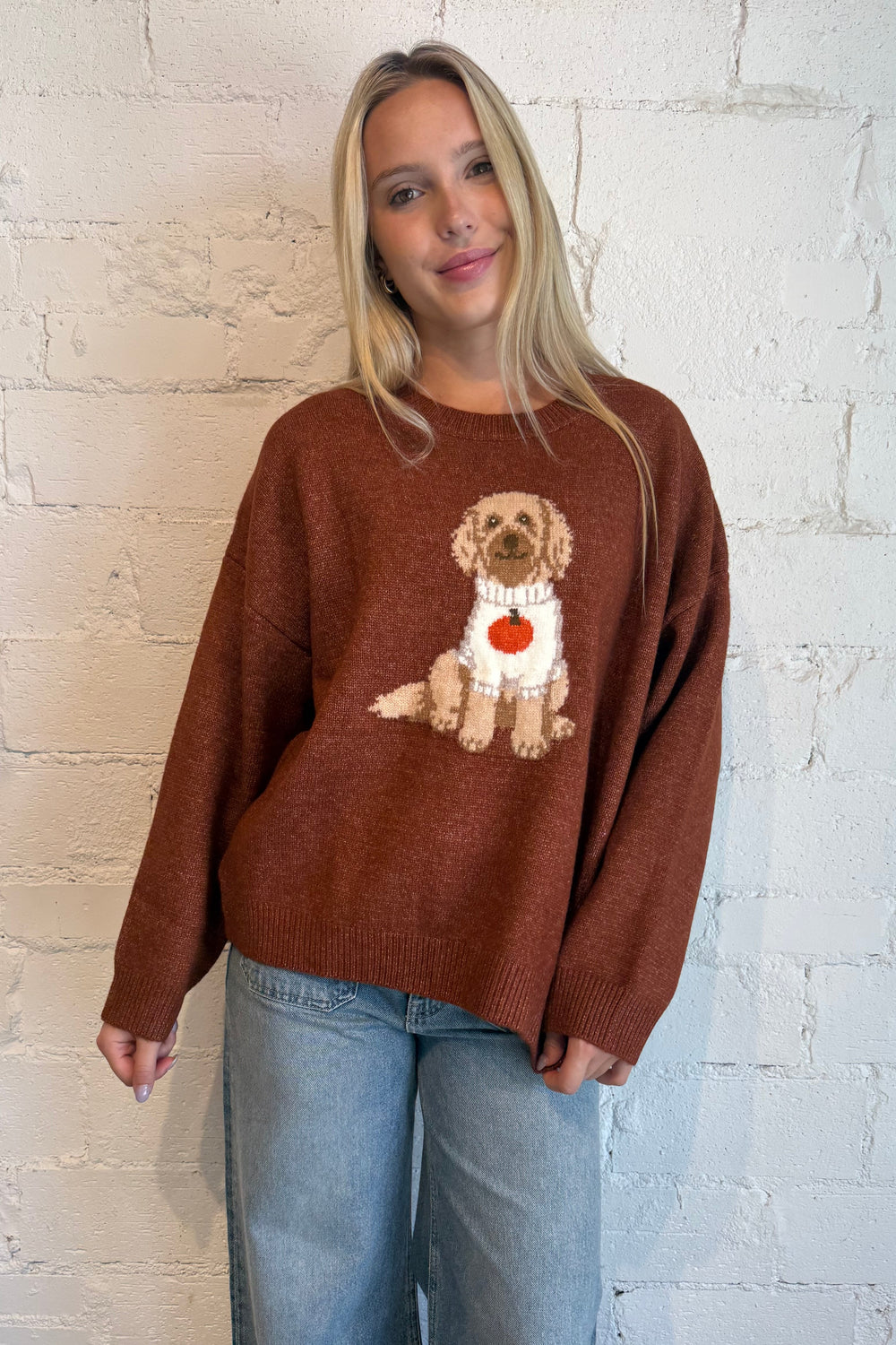 dog sweater, dog sweater with pumpkin, fall dog sweater, fall sweater 