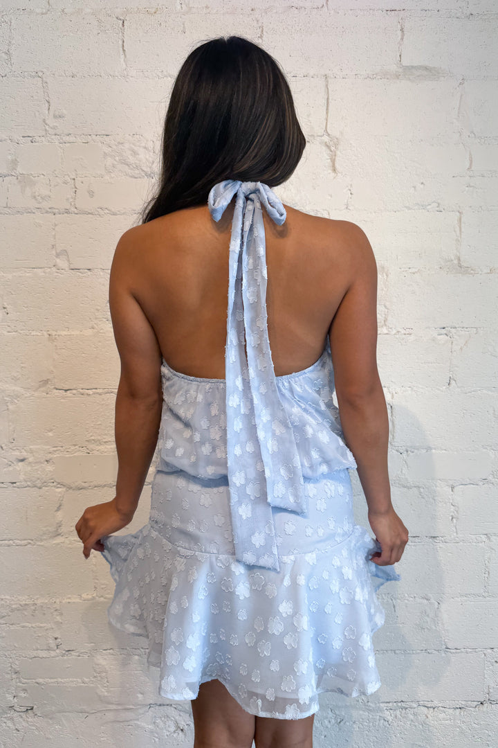 Seaside Breeze Dress Blue Back, adeline boutique, dallas boutique, boutique